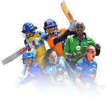 octopus bridge store